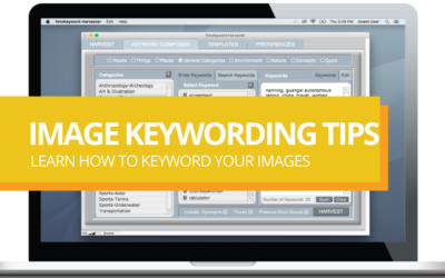 Photo Keywording Tips and Hints