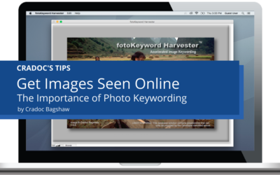 Get Images Seen Online – The Importance of Photo Keywording