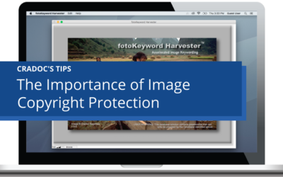 The Importance of Image Copyright Protection