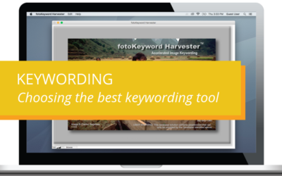 Keywording – Choosing the best keywording tool